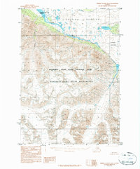 Bering Glacier D-2 topographic map thumbnail