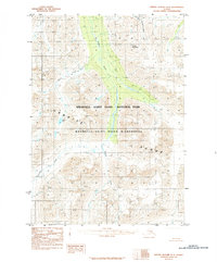 Bering Glacier D-4 topographic map thumbnail