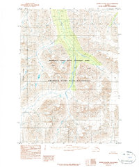 Bering Glacier D-4 1984 topographic map thumbnail