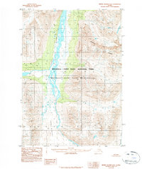Bering Glacier D-5 1984 topographic map thumbnail