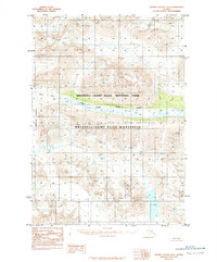 Bering Glacier D-6 1984 topographic map thumbnail