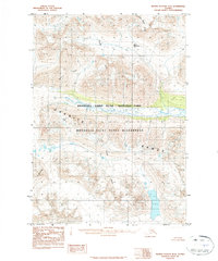 Bering Glacier D-6 1984 topographic map thumbnail