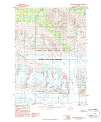 Bering Glacier D-8 1984 topographic map thumbnail