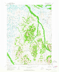 Bethel C-5 1954 topographic map thumbnail