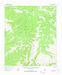Big Delta B-1 1958 topographic map thumbnail