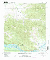 Big Delta B-5 1949 topographic map thumbnail