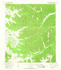 Big Delta C-6 1949 topographic map thumbnail