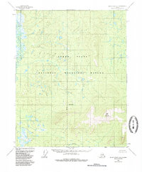 Black River A-4 1984 topographic map thumbnail