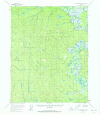 Black River B-4 1956 topographic map thumbnail