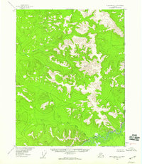 Black River C-1 topographic map thumbnail
