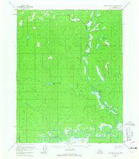 Black River C-3 1956 topographic map thumbnail