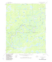 Black River D-6 1956 topographic map thumbnail
