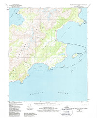 Blying Sound D-1 and D-2 1951 topographic map thumbnail