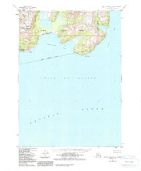 Blying Sound D-5 1950 topographic map thumbnail