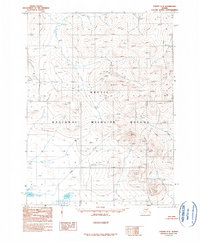 Coleen C-2 1990 topographic map thumbnail