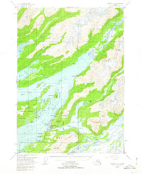 Cordova C-5 1951 topographic map thumbnail