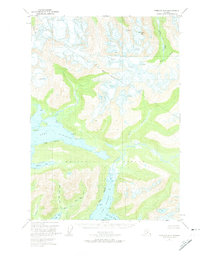 Cordova D-6 1951 topographic map preview