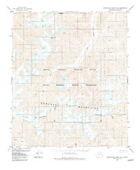 Demarcation Point A-5 topographic map thumbnail