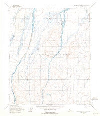 Demarcation Point C-5 1955 topographic map thumbnail