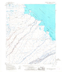 Demarcation Point D-3 1955 topographic map thumbnail