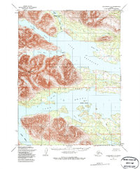 Dillingham C-8 1954 topographic map preview