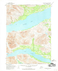 Dillingham D-8 topographic map thumbnail