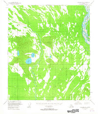 Fairbanks B-1 1950 topographic map thumbnail