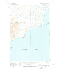 Hagemeister Island C-5 1952 topographic map thumbnail