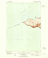 Hagemeister Island C-7 topographic map thumbnail