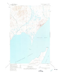 Hagemeister Island D-3 1948 topographic map thumbnail