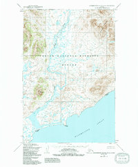 Hagemeister Island D-4 1954 topographic map thumbnail