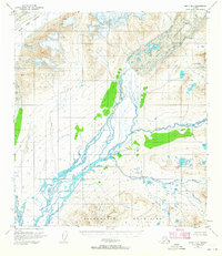 Healy B-1 1950 topographic map thumbnail