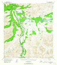 Healy C-4 1950 topographic map thumbnail