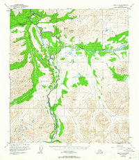 Healy C-4 1950 topographic map thumbnail