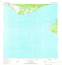 Icy Bay D-2 and D-3 1959 topographic map thumbnail