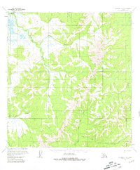 Iditarod C-4 1954 topographic map thumbnail