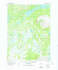 Iliamna B-4 1954 topographic map thumbnail