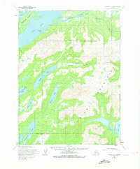 Iliamna C-3 1954 topographic map thumbnail