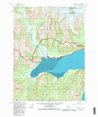 Iliamna D-1 1958 topographic map thumbnail