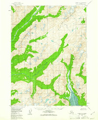 Iliamna D-2 topographic map thumbnail