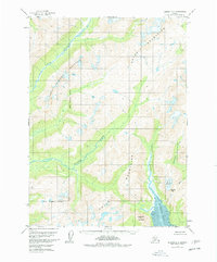 Iliamna D-2 1958 topographic map thumbnail