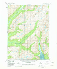 Iliamna D-2 1958 topographic map thumbnail