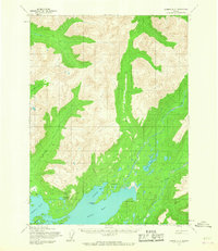 Iliamna D-3 1954 topographic map thumbnail