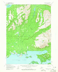 Iliamna D-4 topographic map thumbnail