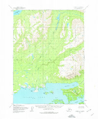 Iliamna D-4 1954 topographic map thumbnail