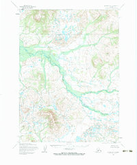 Iliamna D-8 1954 topographic map thumbnail