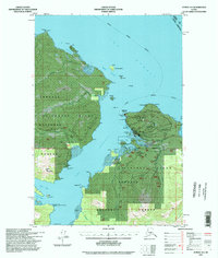 Juneau A-5 1994 topographic map thumbnail