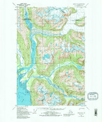 Juneau D-3 1948 topographic map thumbnail