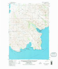 Karluk C-6 topographic map thumbnail