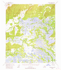 Livengood A-5 1951 topographic map thumbnail